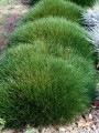 kostrzewa-gautiera-pic-carlit-7.jpg