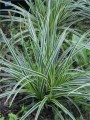 1708D 1.jpg