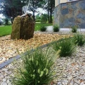 rozplenica-japonska-pennisetum-alopecuroides-little-bunny-c2-30-40-html (1).jpg