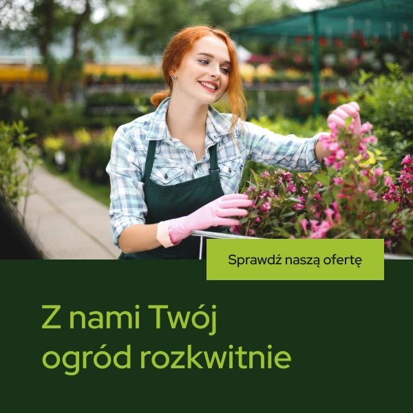 Z nami Twój ogród rozkwitnie